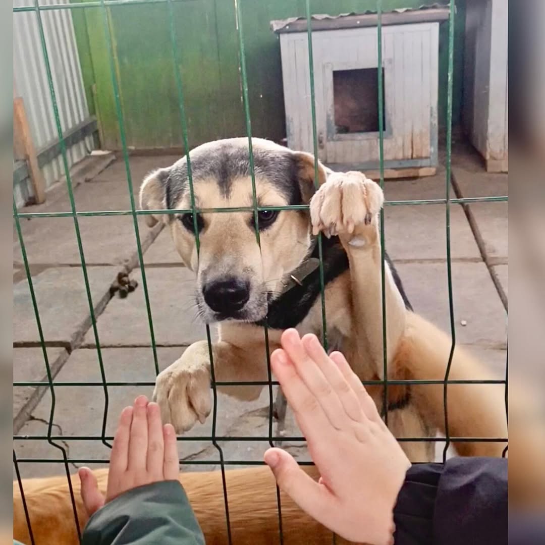 Доброе дело