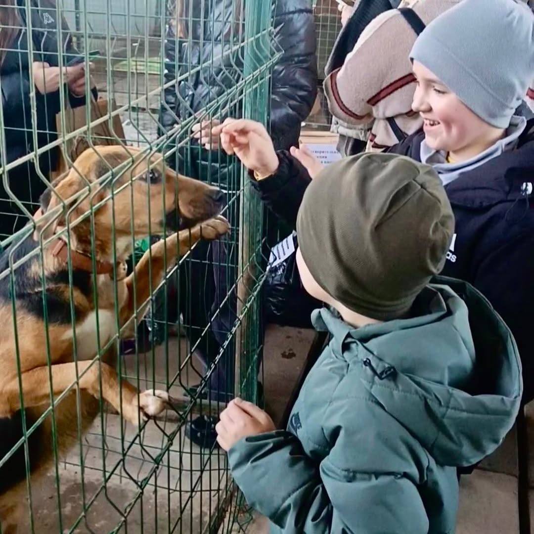 Доброе дело