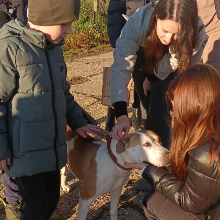 Доброе дело