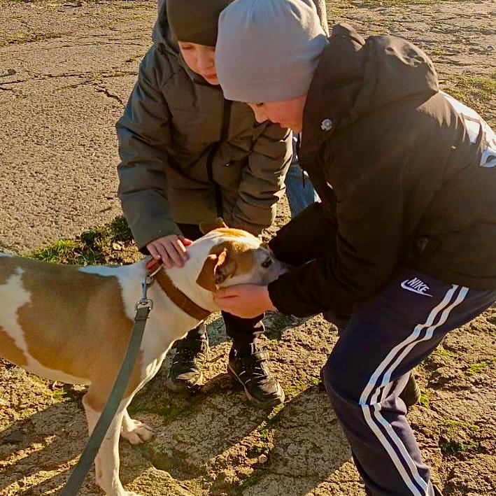 Доброе дело