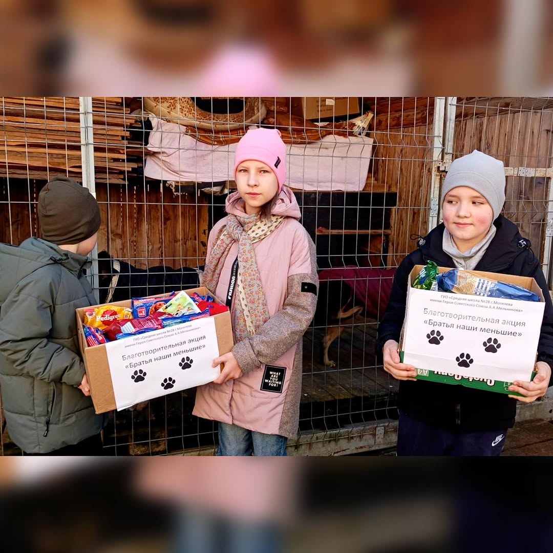 Доброе дело