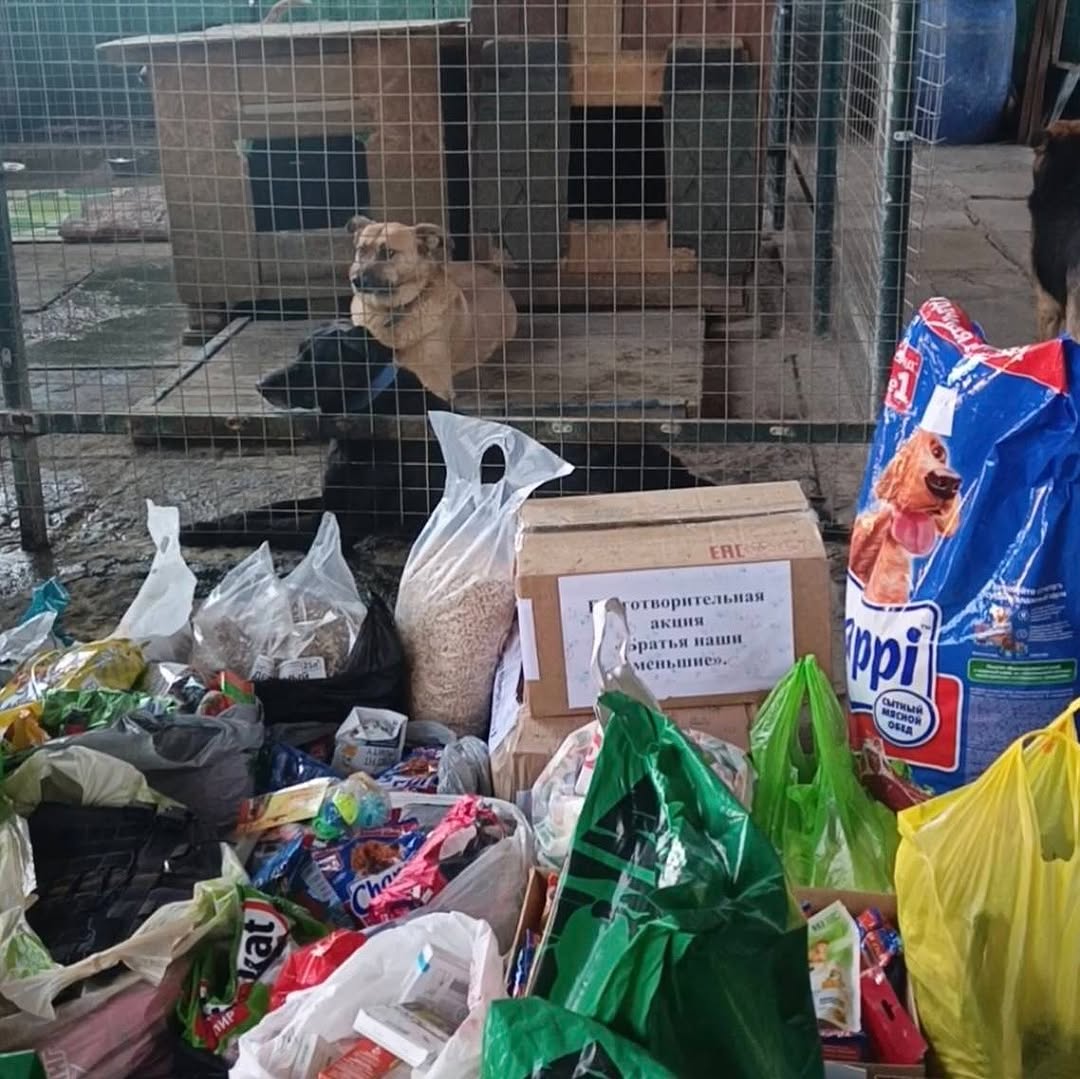 Доброе дело