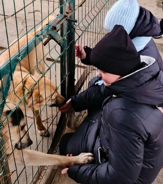 Воспитание души