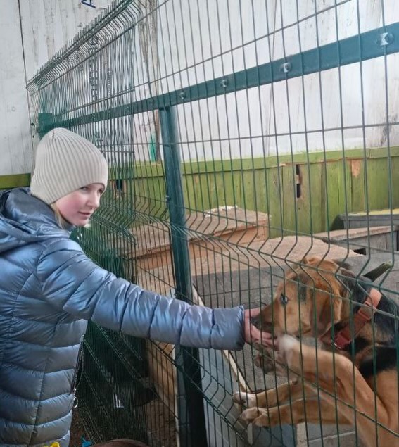 Воспитание души