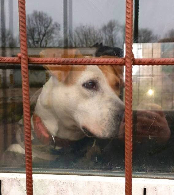 Воспитание души