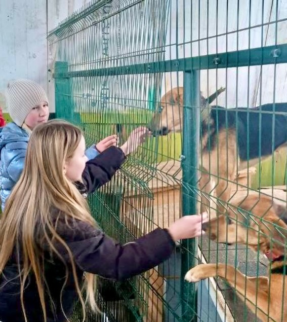 Воспитание души