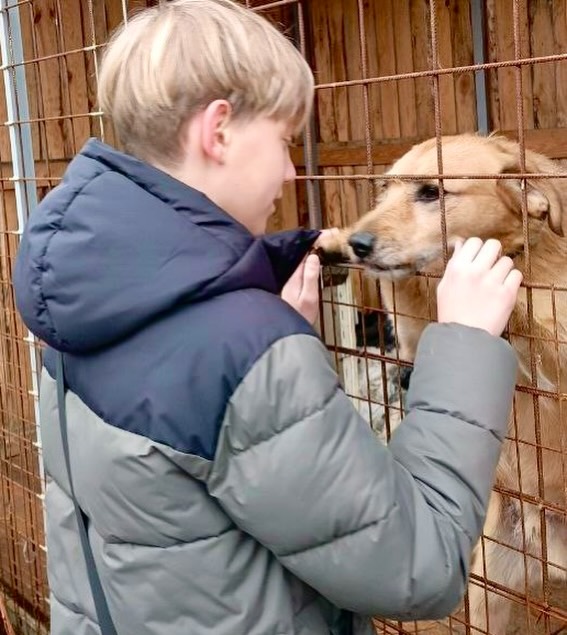 Воспитание души