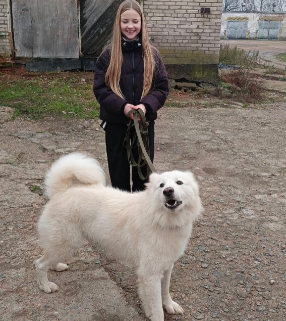 Воспитание души