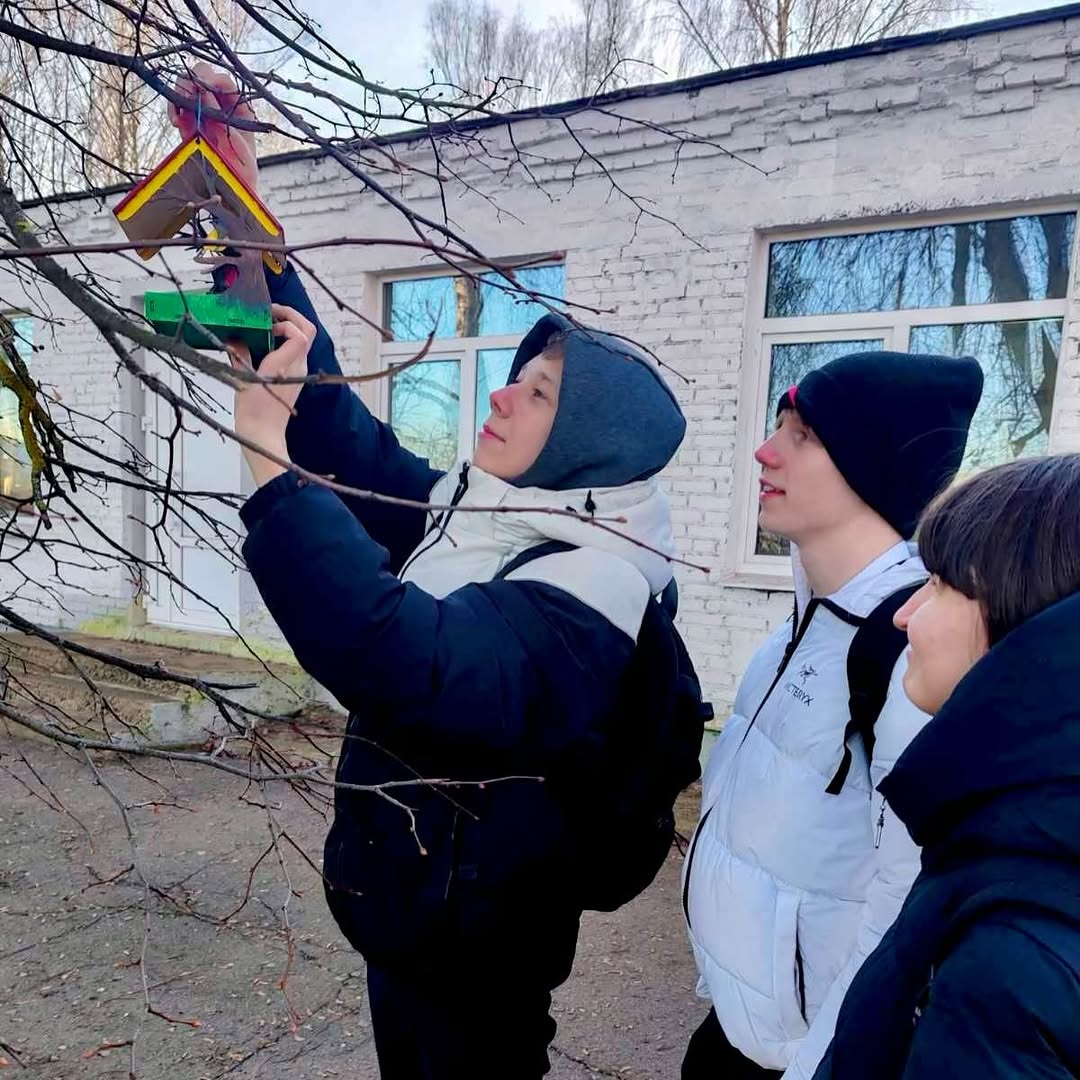 Покормите птиц