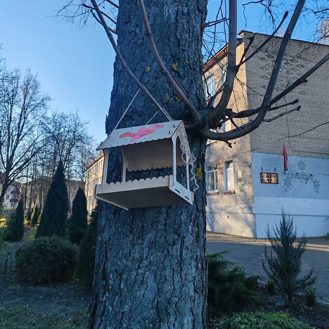 Покормите птиц