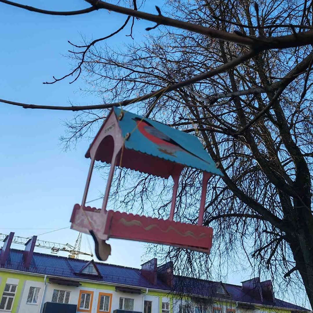 Покормите птиц