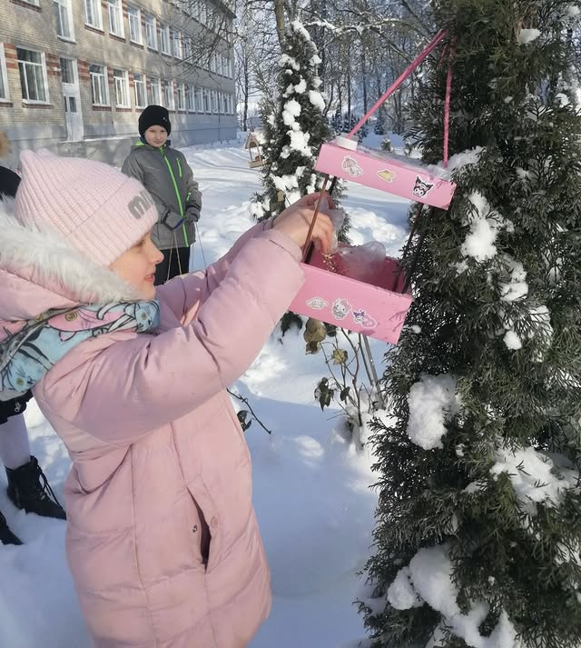 Операция «Кормушка»