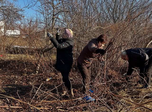 Все на субботник!