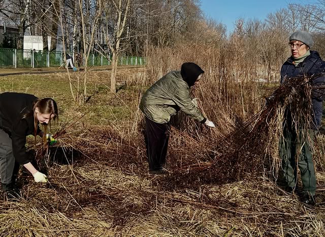 Все на субботник!