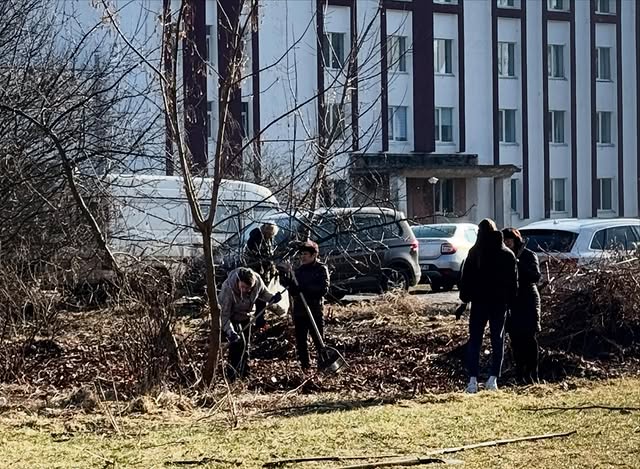 Все на субботник!