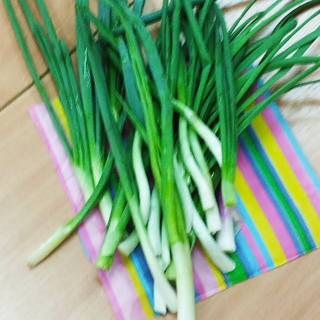 «Зеленый» классный час