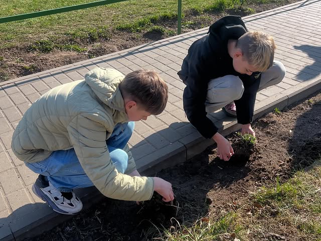 Даёшь субботник!