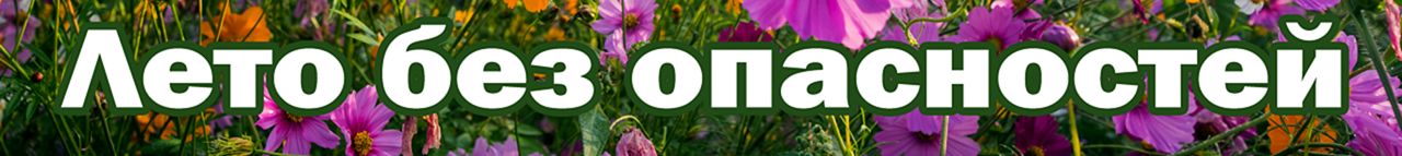 Лето без опасностей