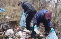 Лес. Дабро. Парадак