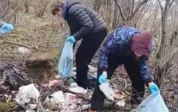Лес. Дабро. Парадак