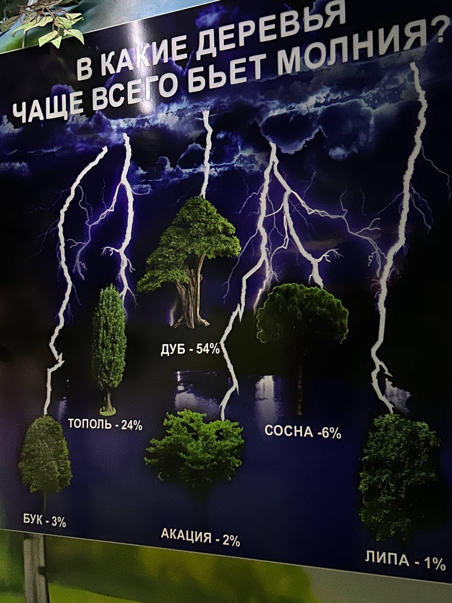 Безопасные каникулы
