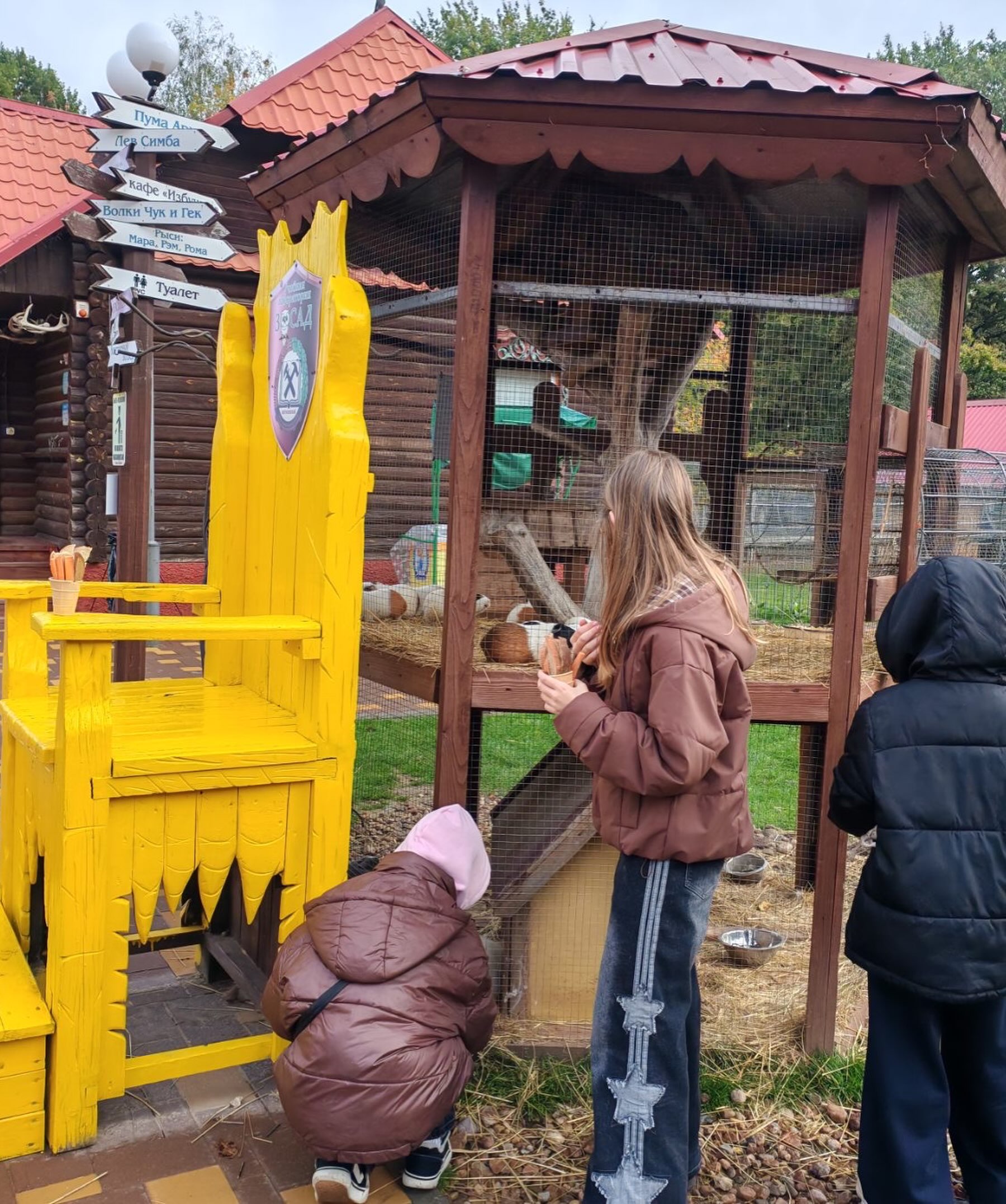 В мире природы