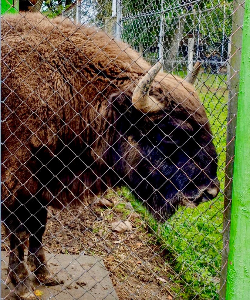 В мире природы